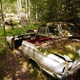 Illustration for article titled Get Lost In Europes Largest Car Cemetery Hidden In The Swedish Woods